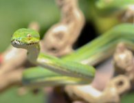 DSC_0775.jpg