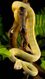 DSC_0551.jpg