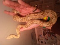 20140407_174343.jpg
