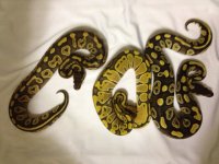 photo (14).JPG