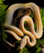 DSC_0478.jpg