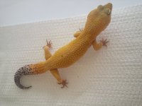 20140430_112913.jpg