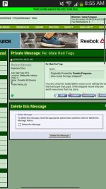 scam4.jpg