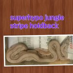 PhotoGrid_1402183382036.jpg
