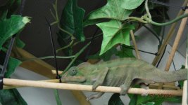 DSCF4569.jpg