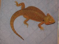 IMG_5121.JPG