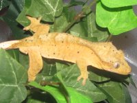 IMG_1763.JPG