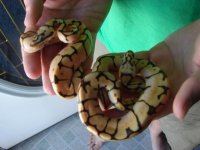 Summer Vacation Pictures 2010 189.jpg
