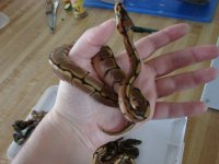 Summer Vacation Pictures 2010 194.jpg