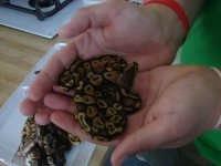 Summer Vacation Pictures 2010 199.jpg