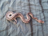snake 055.jpg
