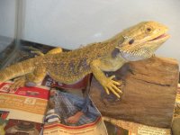 DSCN5736.jpg