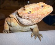 100_2592.jpg