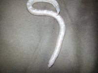 20140315_215032.jpg