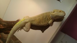 20140520_205353.jpg