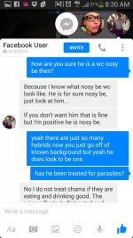 nick nosy be 2.jpg