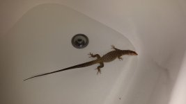 20140330_211705.jpg