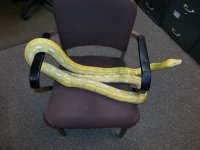 20130829_083307.jpg