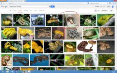 Screenshot (4).jpg