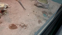 20140614_133018.jpg