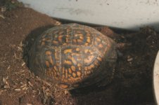 IMG_0863.jpg