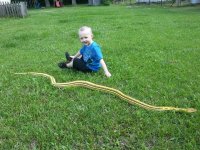 IMG_20191378645730.jpeg
