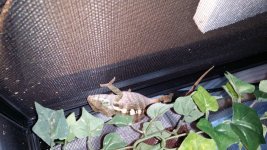 20140524_102917.jpg