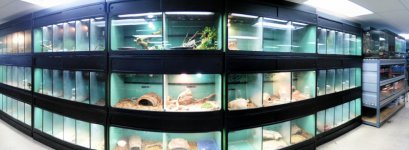 PANO_20140614_141918_PerfectlyClear.jpg