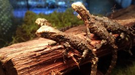 20140218_142958.jpg