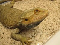 IMG_0082[1].jpg