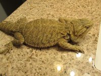 IMG_0083[1].jpg