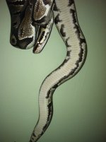 IMG_1405.jpg