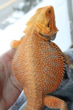 IMG_9150.jpg