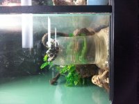 20140614_130510.jpg
