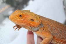 IMG_9163.jpg