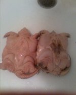 01-22-10_2301.jpeg
