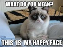 grumpycatmeme.jpg