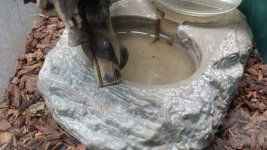 20140614_130436.jpg