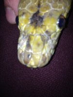 IMG_0283.jpg