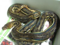 IMG_5334.jpg