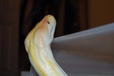 1911971_10201959706295349_4210437859196260877_n.jpg