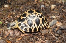 DSC_5406.jpg