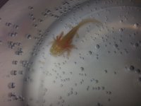 20140319_114518.jpg