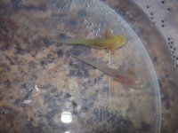 20140319_114531.jpg