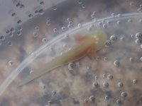 20140319_114547.jpg