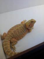 2013-03-10 23.37.02.jpg