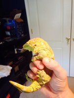 image.jpg