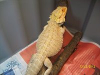 100_2839.jpg