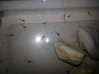 20130413_183218.jpg