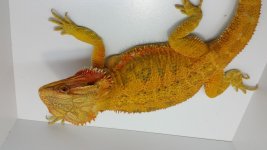20140723_204908.jpg